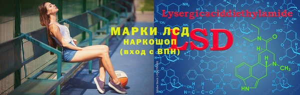 ПСИЛОЦИБИНОВЫЕ ГРИБЫ Арсеньев