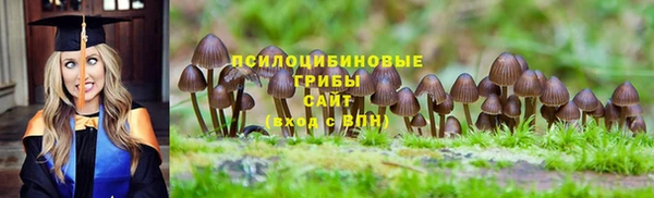 меф VHQ Дмитриев
