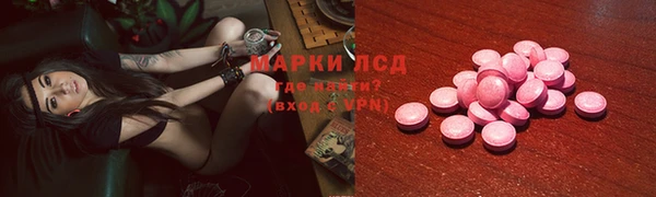 ПСИЛОЦИБИНОВЫЕ ГРИБЫ Арсеньев