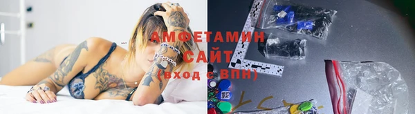ПСИЛОЦИБИНОВЫЕ ГРИБЫ Арсеньев