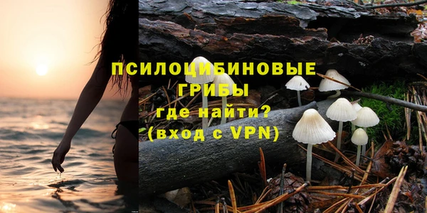 крисы Алексеевка
