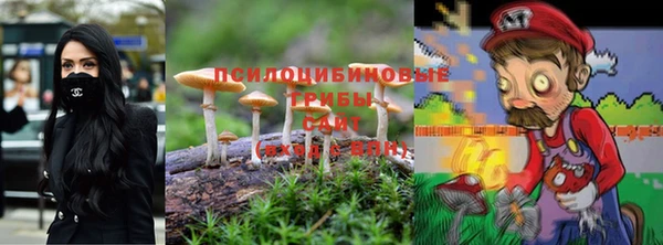 ПСИЛОЦИБИНОВЫЕ ГРИБЫ Арсеньев
