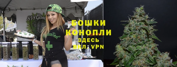 твердый Армянск