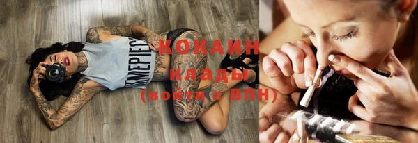 тгк Аркадак